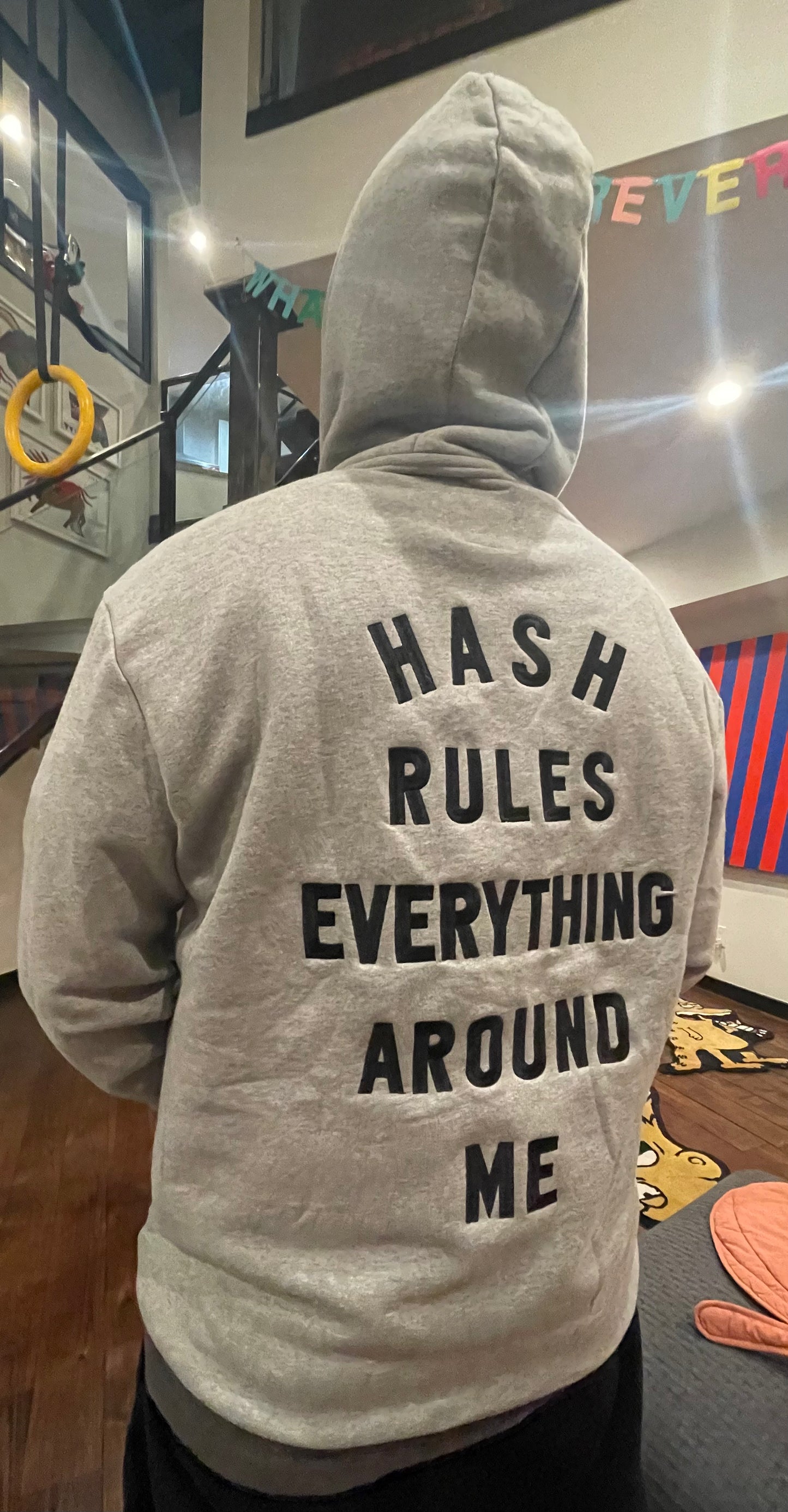 HASH RULES EVERYTHING AROUND ME GREY HOODIE