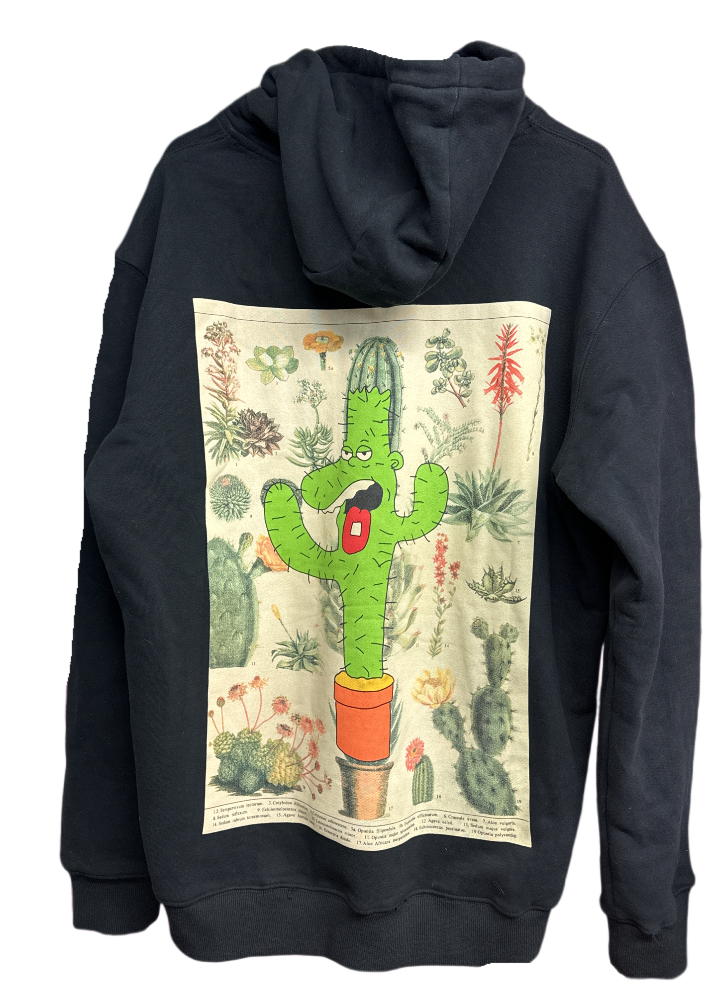 whatever forever cactus chart hoodie